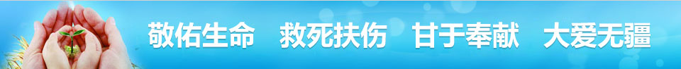   ڷI(xin) ۟o(w)